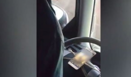 老司机免费视频